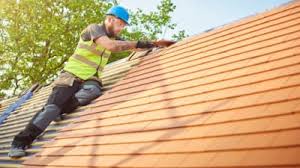 Best Rubber Roofing (EPDM, TPO)  in Sand Lake, MI