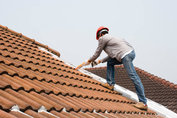 Sand Lake, MI  Roofing repair and installation Company
